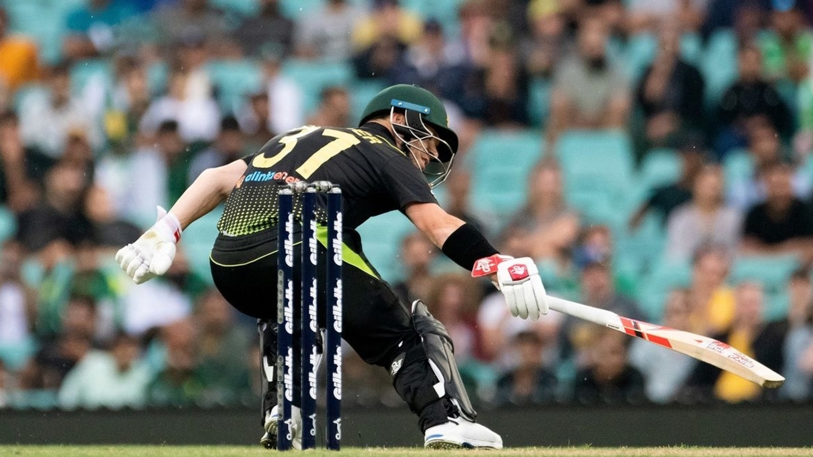 ENG Vs NZ LIVE Cricket Score Streaming FREE Online: Watch Thrilling T20 ...