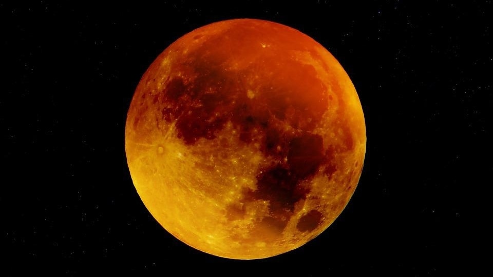 Planet Eclipse LV1.6 Teahupo'o O-Neg Red NEW!