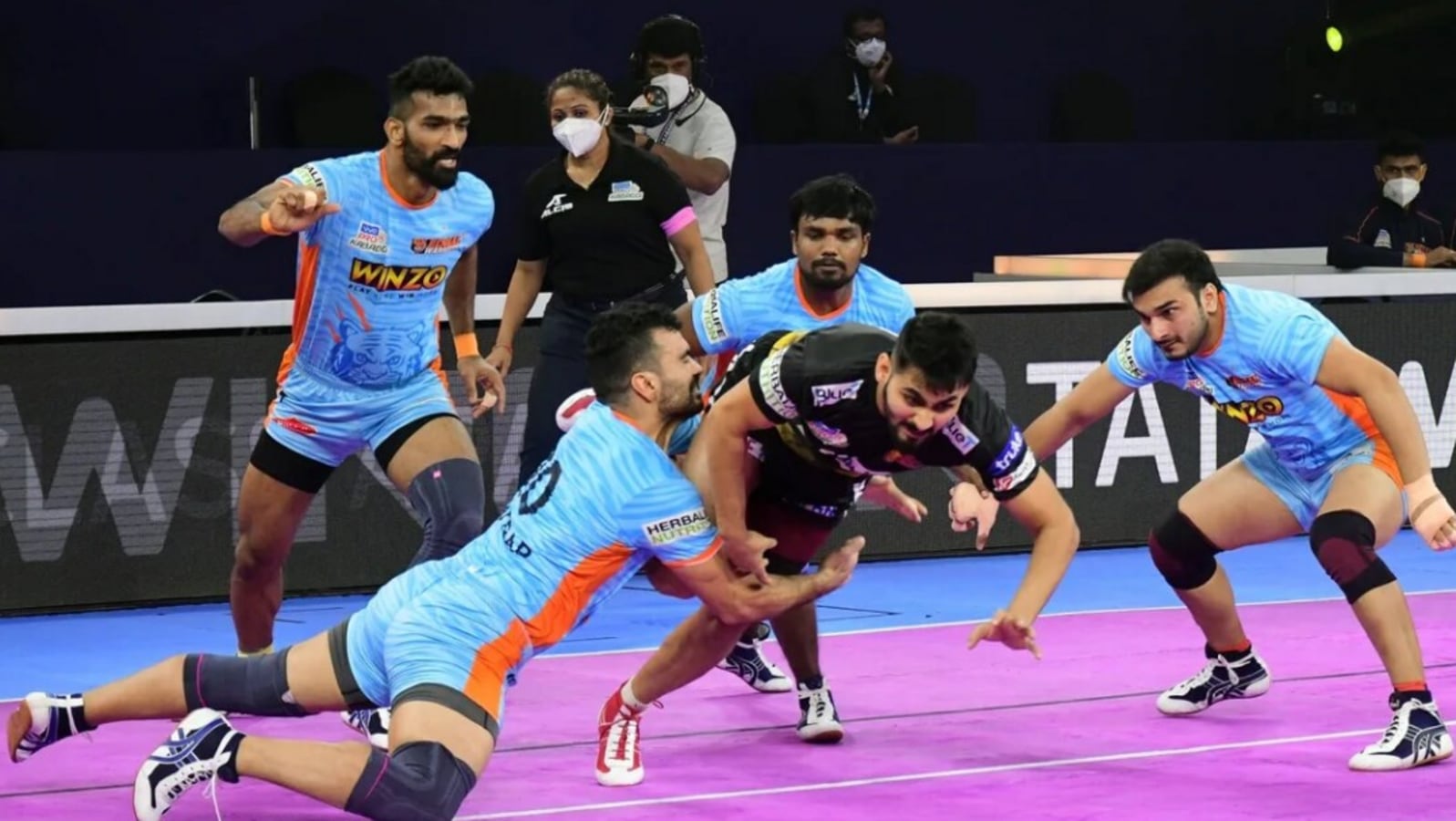 Pro Kabaddi League 2024 Live Streaming Free Jolee Madelon