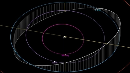 asteroid 2022 WO7