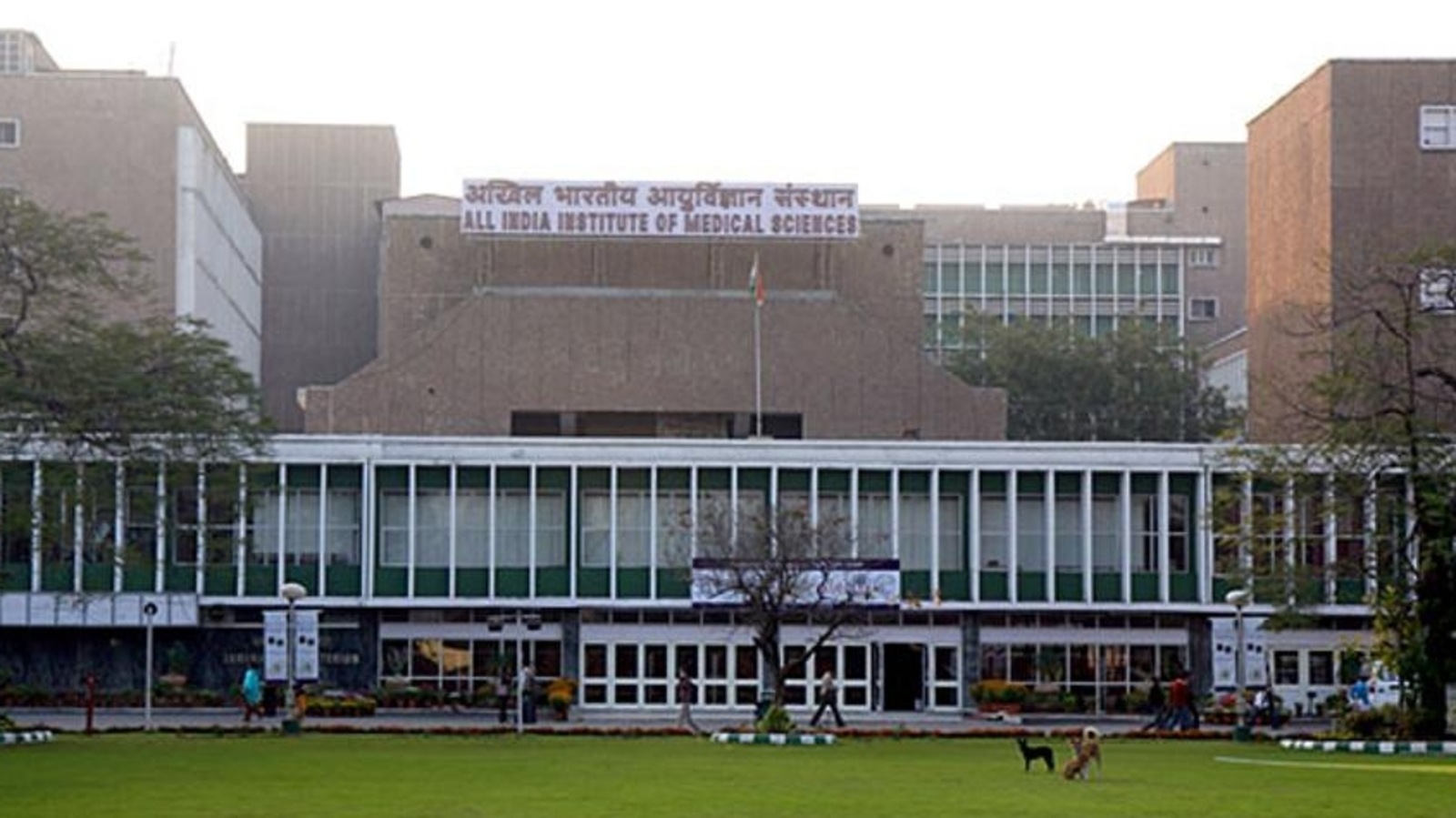 AIIMS