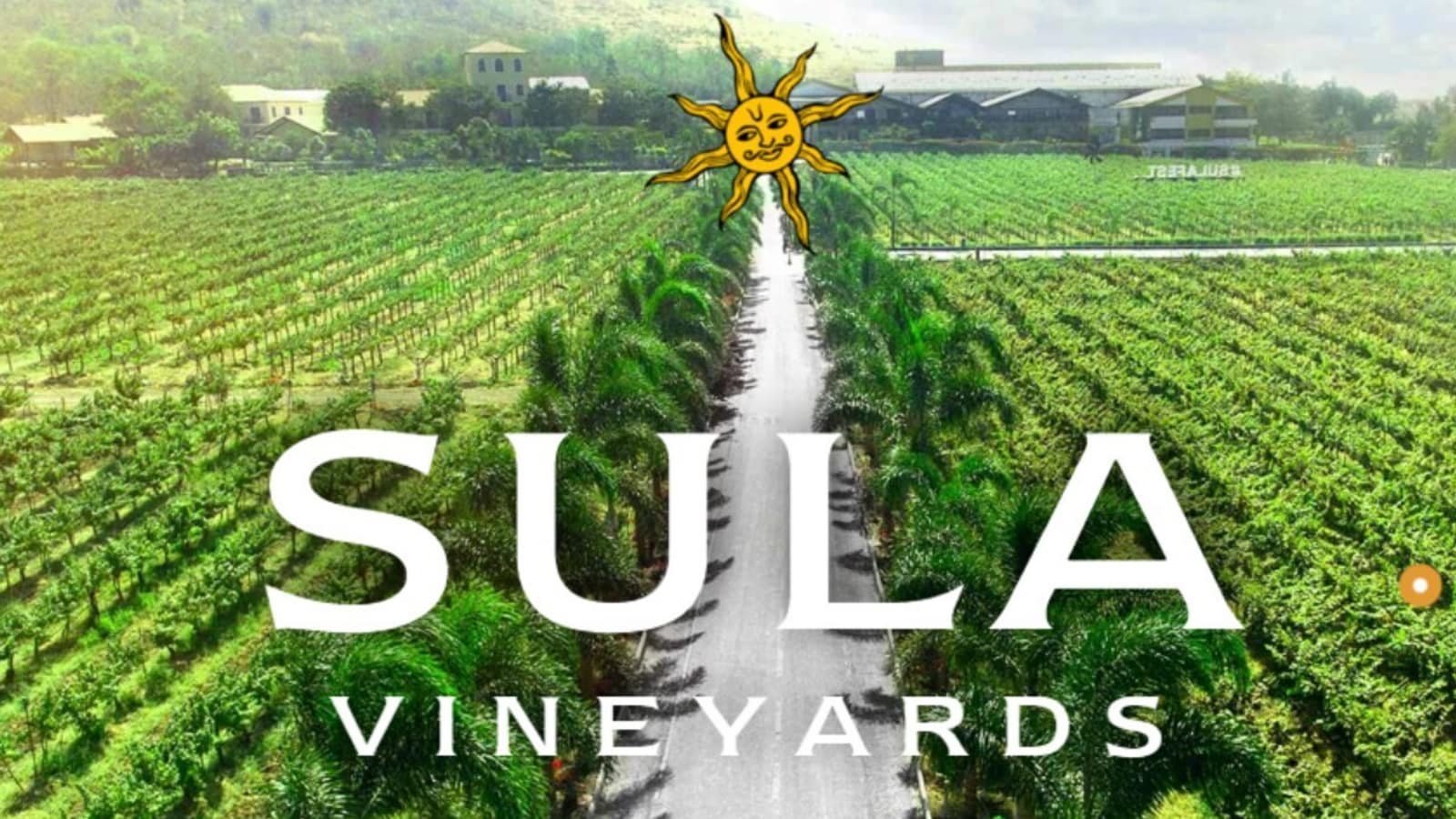 Sula Vineyards IPO Share Allotment: Know Date, How to Check Status Online, GMP & More| Roadsleeper.com