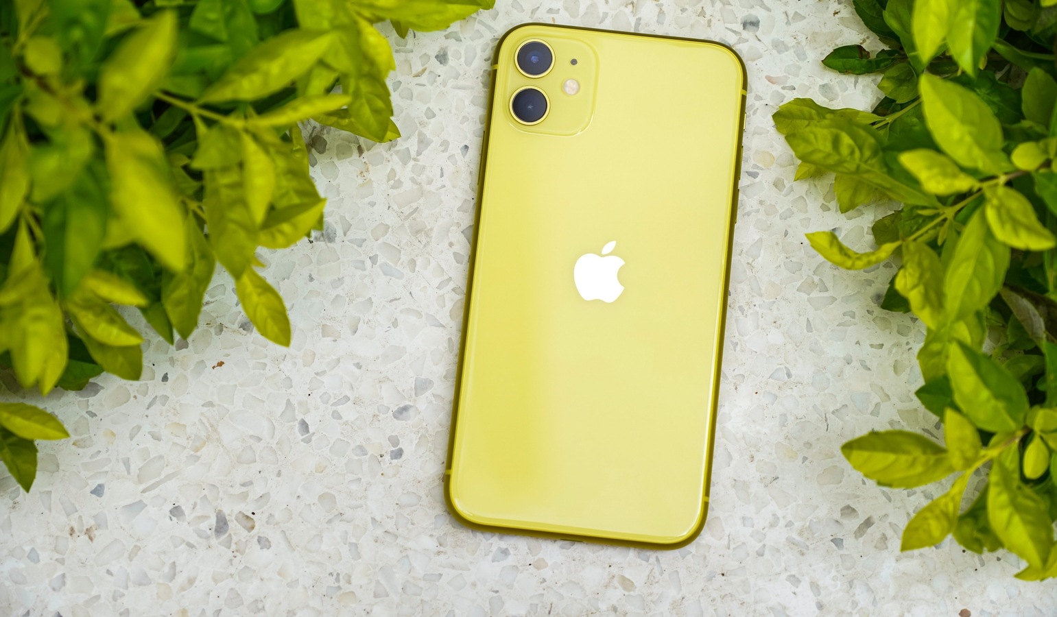 Hot deal! iPhone 11 price just plunged below 25000 during Flipkart Sale