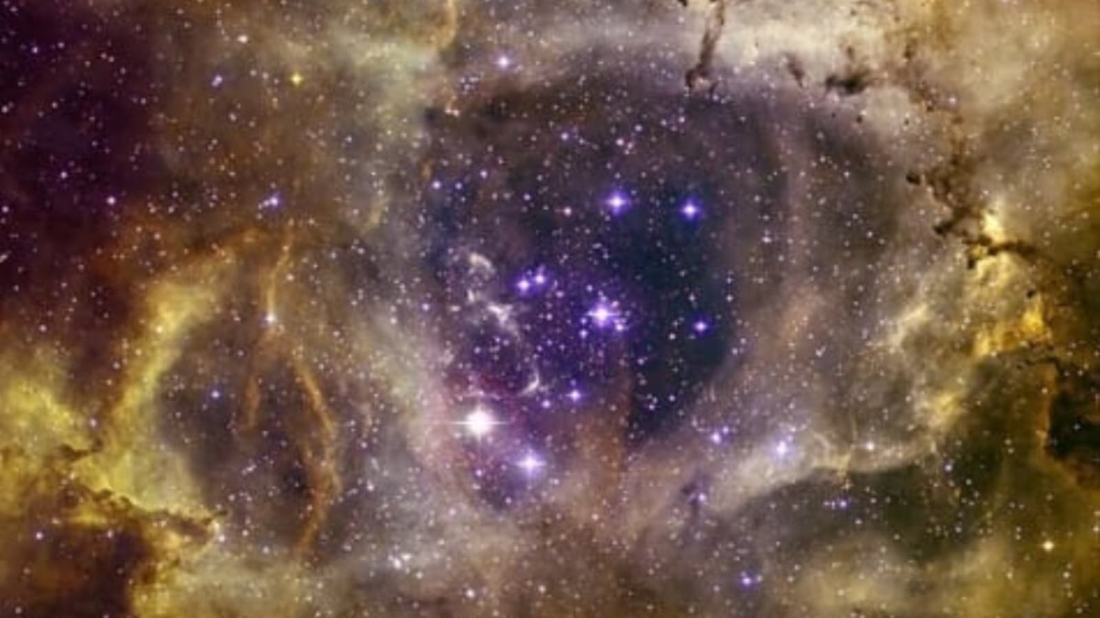 Sternenschädel!  Die NASA teilt ein erschreckendes Bild des Rosettennebels, das vom Chandra-Observatorium aufgenommen wurde