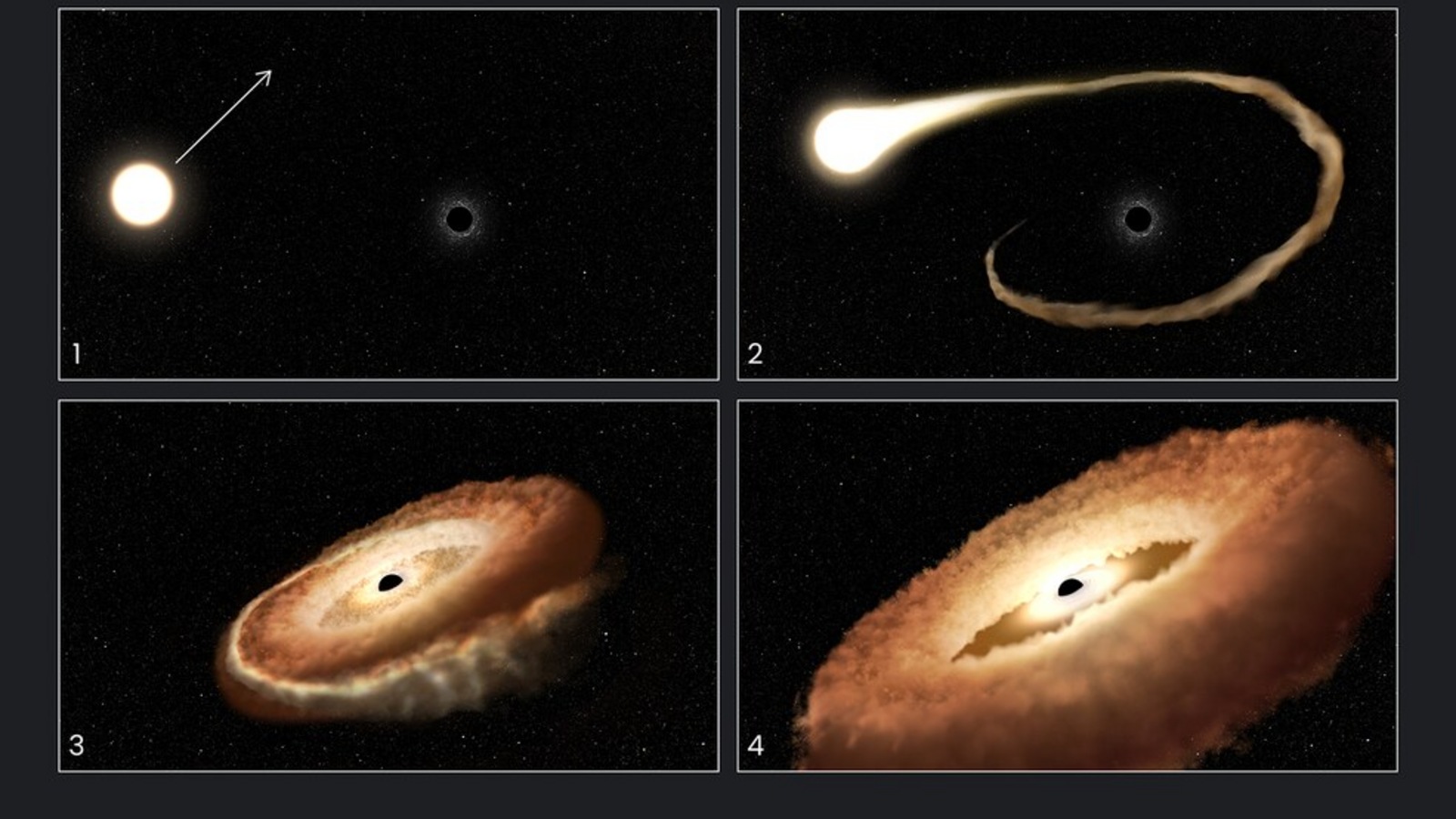 Black hole wandering Milky Way galaxy spied by Hubble