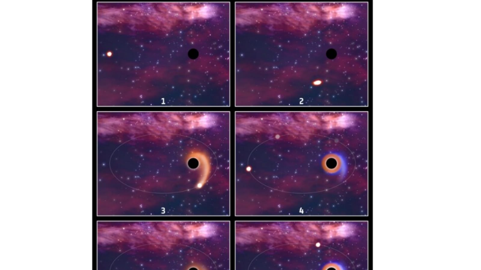 Wild!  Schwarze Löcher zerstören immer wieder dieselben Sterne, die vom Newton-Teleskop eingefangen wurden