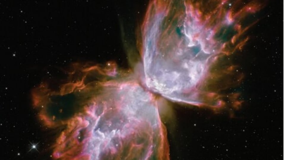 Butterfly Nebula