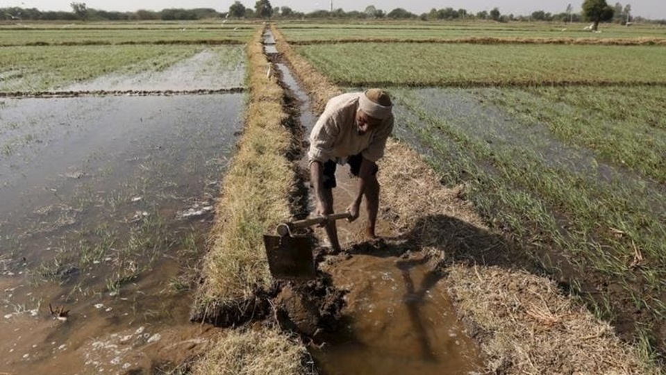 Here is how you can do PM Kisan eKYC online. PM Kisan 13th installment