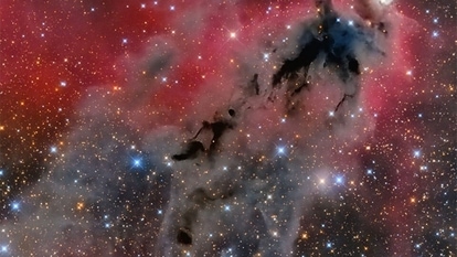 Lynds' Dark Nebula