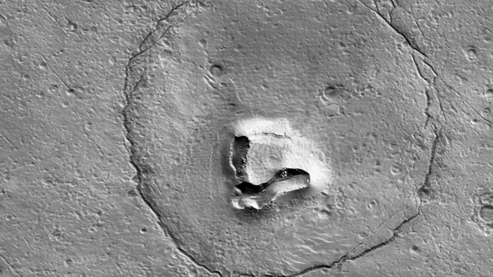 NASA spots Paddington Bear on Mars. NASA spots Paddington Bear on Mars.