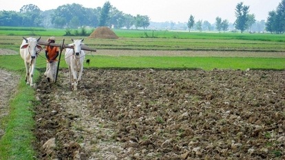 PM Kisan Scheme