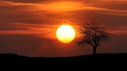 Sun