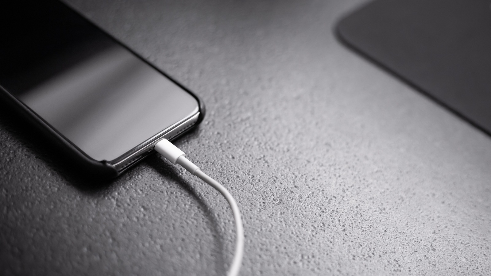 Only the Pro iPhones will get fast charging and data speeds, while the vanilla models will be using USB 2.0 speeds. iPhone Charging
