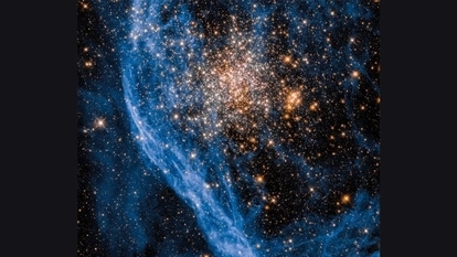 NGC 1850