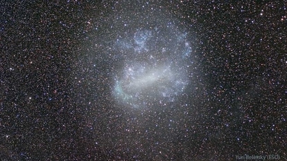 Large Magellanic Cloud