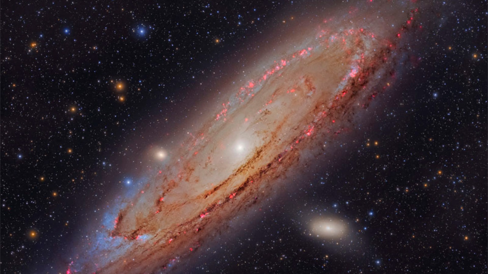 Check out our nearest neighbor, the Andromeda Galaxy