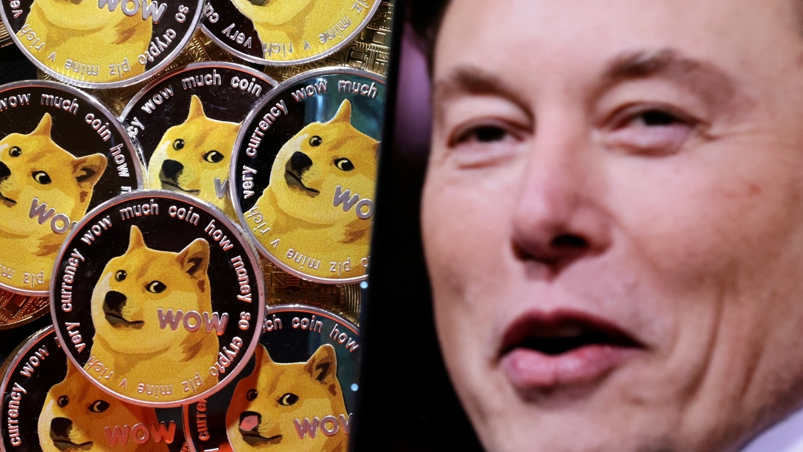 Shocked And Awed! Elon Musk Changes Twitter Logo To Doge Meme | Tech News