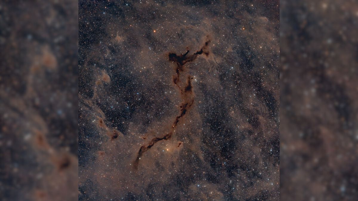 Dark Seahorse Nebula (April 20) - Barnard 150, also known as the Dark Seahorse Nebula, is one of the most peculiarly shaped nebulae, located about 1200 light-years away towards the constellation of Cepheus. It is a dark molecular cloud and is so dense that the dust within blocks visible wavelengths of light. Telescopes that see visible light only detect ghostly dark patches in the sky, called Dark Nebulae. Dark Seahorse nebula