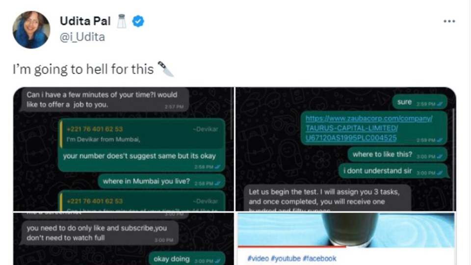 Troll Terror Woman Savages Scammer On WhatsApp Tech News