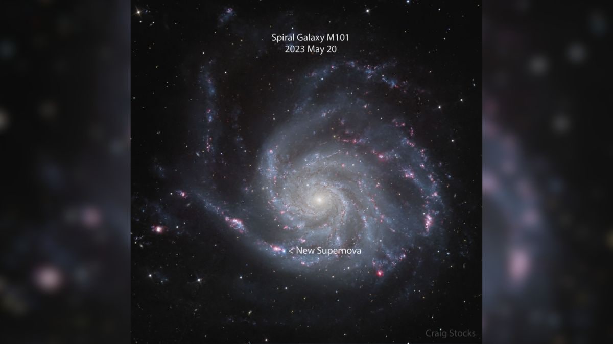 Supernova near M101 Spiral Galaxy (May 22) - This is a snapshot of the supernova SN 2023ixf located near the M101 spiral galaxy. This supernova was discovered by Japanese astronomer Koichi Itagaki and was located on the automated images captured by the Zwicky Transient Facility, a wide-field sky astronomical survey in California. NASA Supernova SN 2023ixf