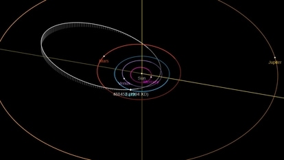 Asteroid 1994 XD