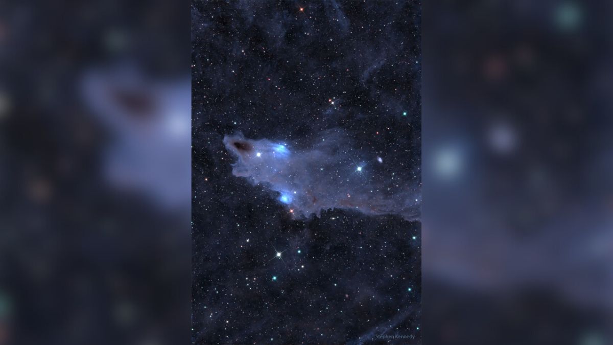Shark Nebula: It is a snapshot of LDN1235, also known as the Shark Nebula. It is situated approximately 650 light-years away in the constellation of Cepheus in the Northern sky. This celestial formation primarily consists of interstellar dust, creating a veil that conceals a significant portion of the emitted light. NASA Shark Nebula