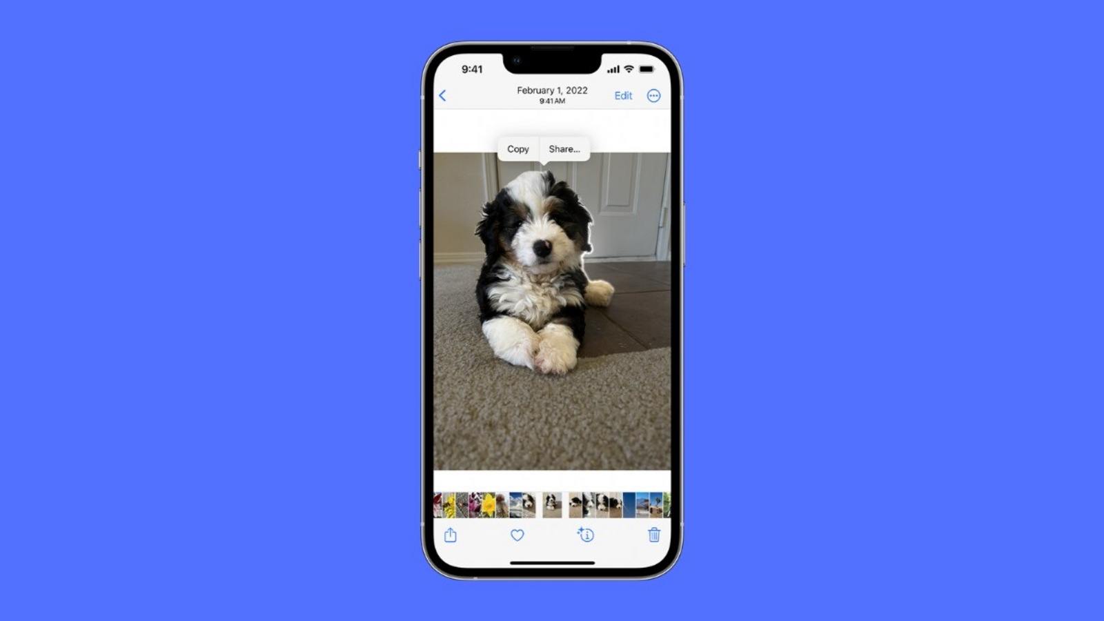 IPhone Tips And Tricks Create And Share Funny Memes With Cool Photo 