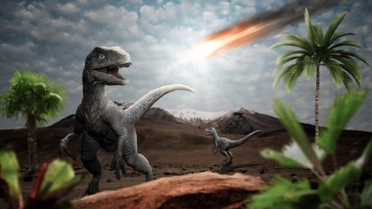 Dinosaurs and asteroid