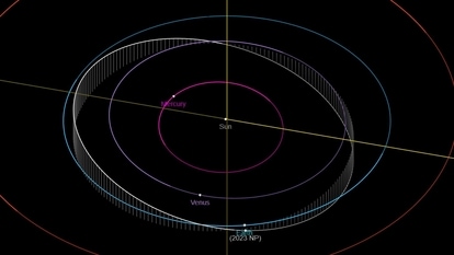 Asteroid 2023 NP