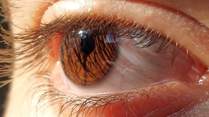 pexels-yasser-amin-17389886