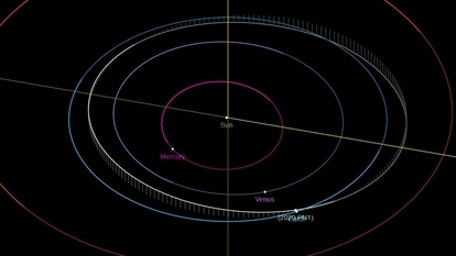 Asteroid 2020 PN1