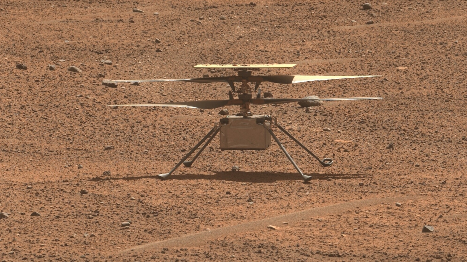 In a special moment, NASA rover on Mars snaps Ingenuity Mars Helicopter