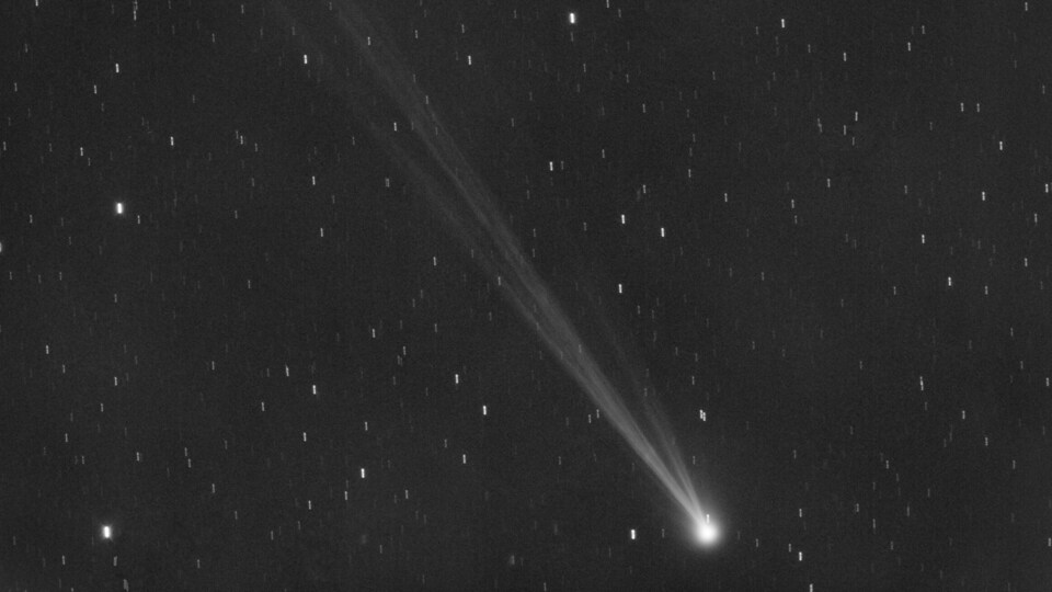 comet Nishimura