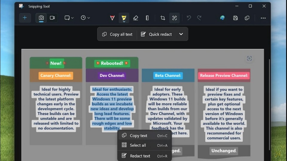 Windows 11 snipping tool