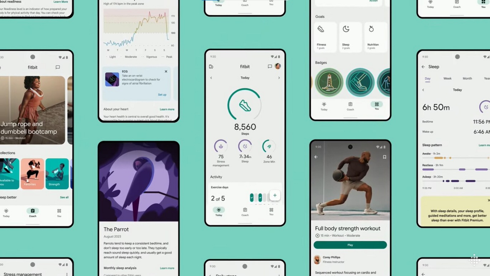 Fitbit app gets a major redesign! Know what’s new – Coach tab, customization, more