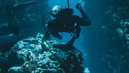 pexels-pia-b-3113226