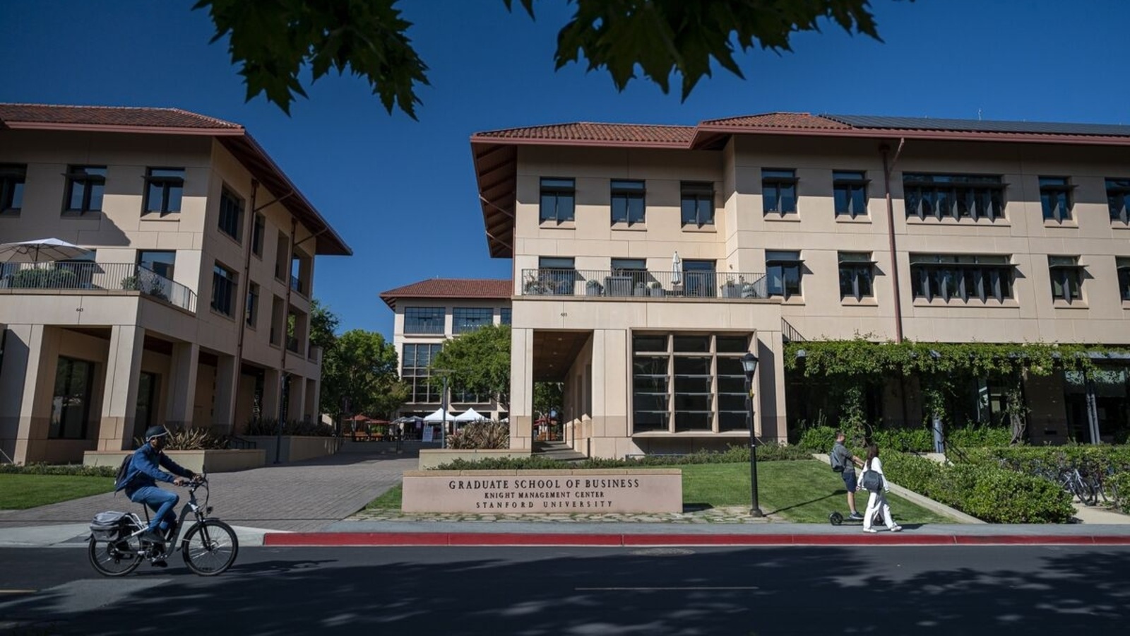 Stanford university