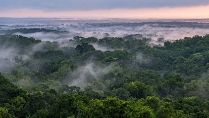 The Indian Space Research Organisation (ISRO) has another major mission lined up called NISAR or&nbsp; NASA-ISRO Synthetic Aperture Radar mission which will be conducted in collaboration with NASA. The mission aims to study climate change and the impact of natural disasters.&nbsp;