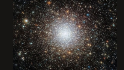 The Star Cluster