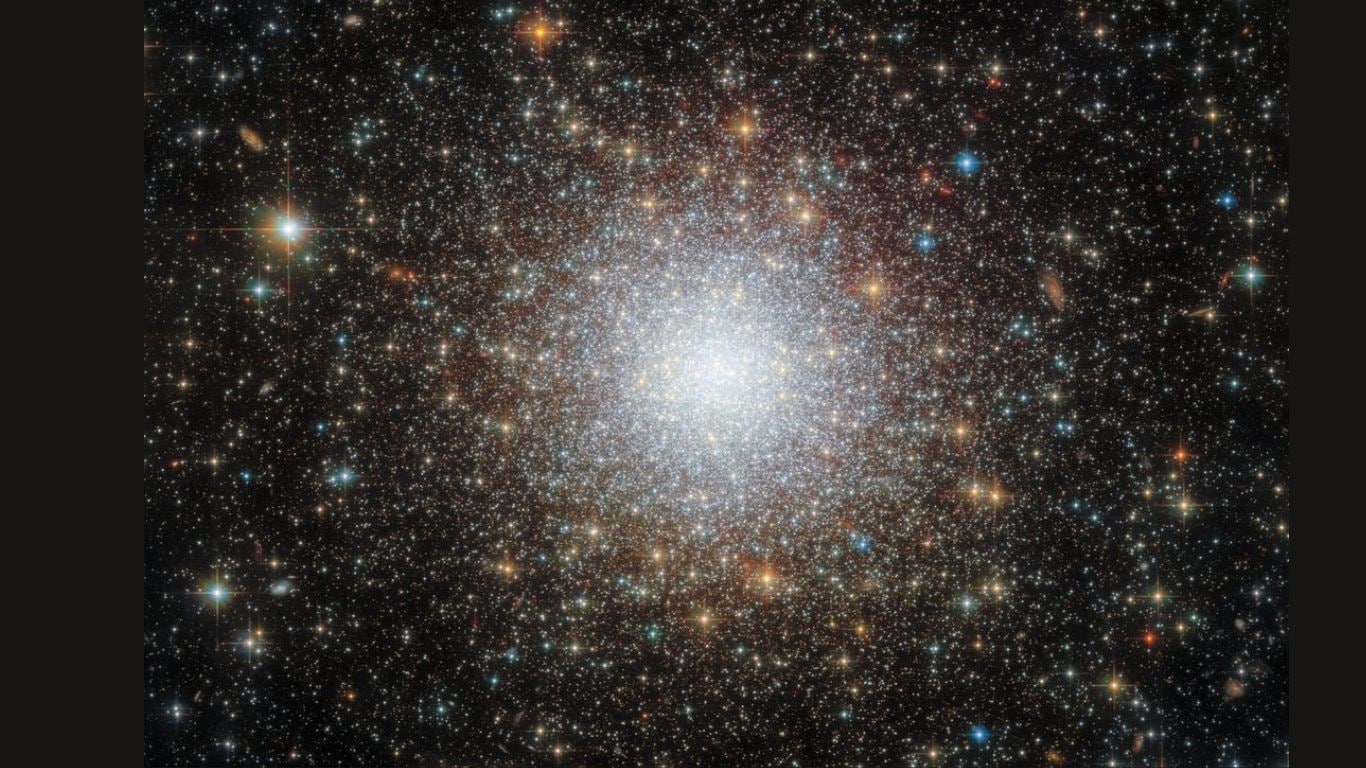 The Star Cluster: Explore a cluster of stars in this image where most are small and uniform in size, appearing notably bluish. The stars cluster more densely toward the centre of the image, with some larger stars in the foreground. Against a dark background at the corners, the cosmic beauty unfolds. The Star Cluster
