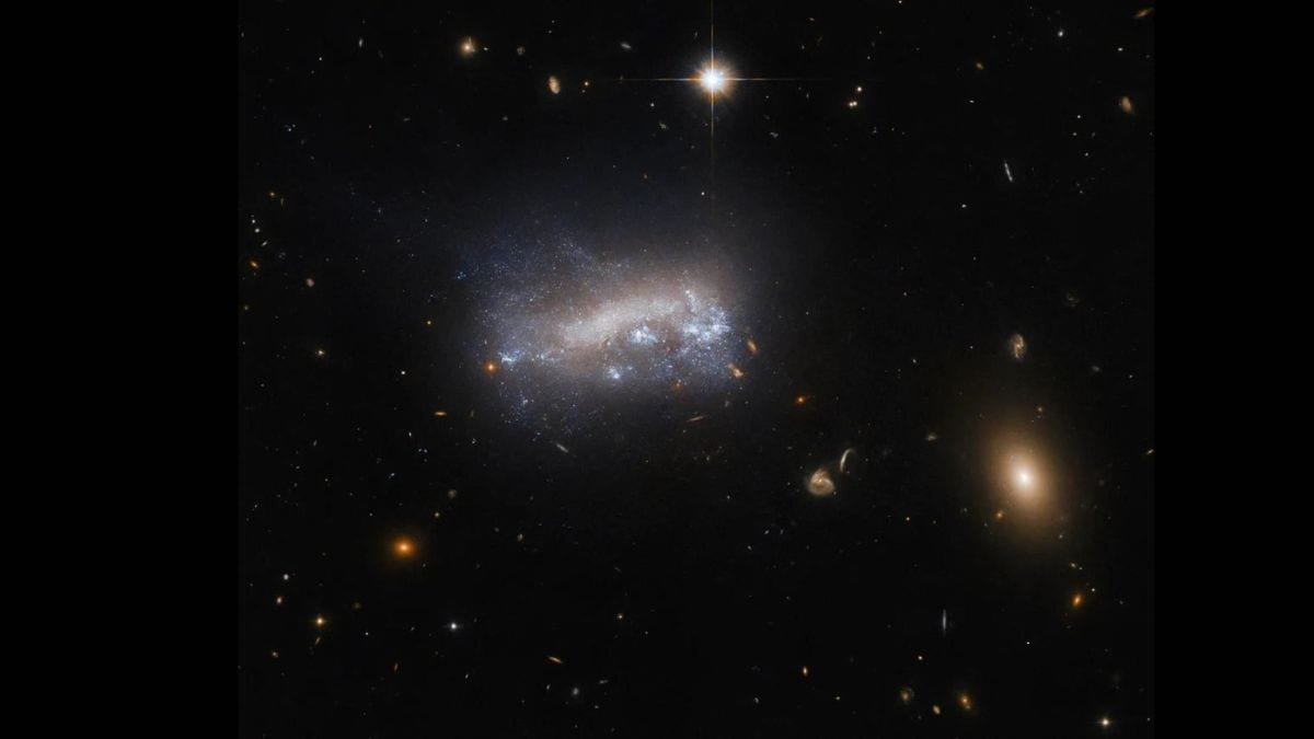 NASA's Hubble Space Telescope has once again astounded the world with its latest capture—a dwarf galaxy nestled 52 million light-years away from Earth. This distant marvel resides in the expansive Virgo galaxy cluster, illuminating the depths of space with its ethereal presence. NASA's Hubble Space Telescope