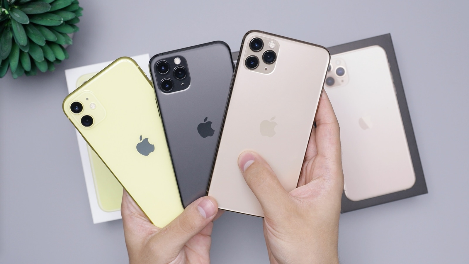 iPhone 16 leak hints at more colour options than previous models - All you need to know