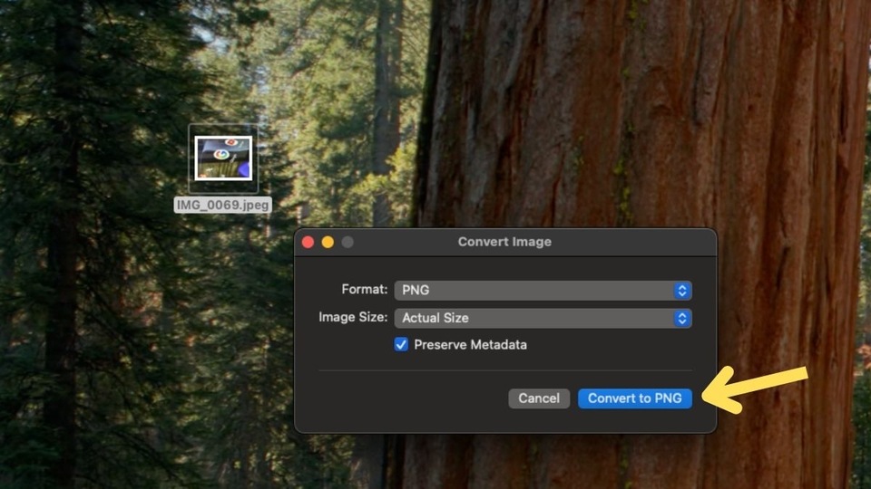 After selecting the format, click on Convert to PNG.