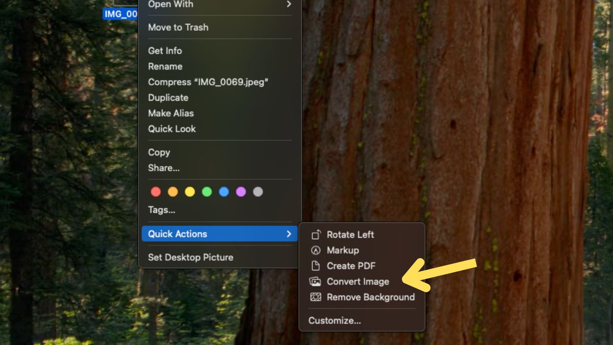 Select Convert Image Select Convert Image