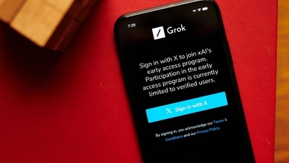 Grok AI chatbot