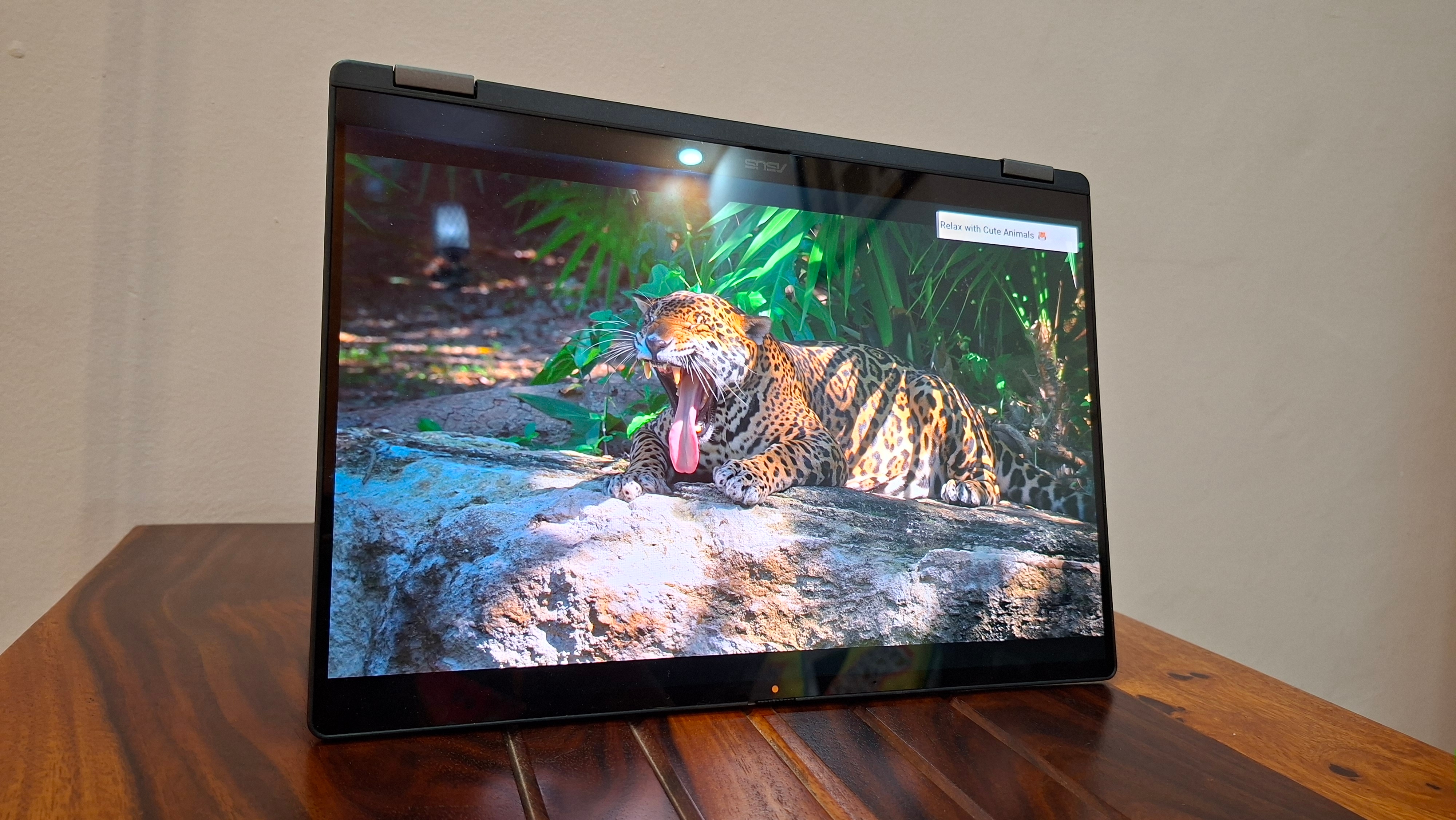 Asus Vivobook 14 Flip features a 14-inch display Asus Vivobook 14 Flip