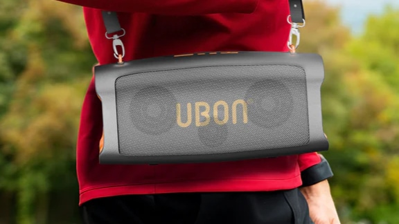 30W Party Speaker