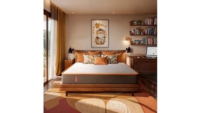 Top Mattresses Under  <span class='webrupee'>₹</span>16,000 in India