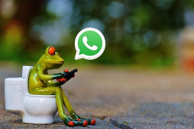 In mid-February, WhatsApp removed the feature that let users set a message and then gave the ‘Status’ name to a Snapchat ‘Stories’ clone. But last week, text Statuses reappeared in the Android Beta version of WhatsApp in the ‘About’ section of the profiles, Tech Crunch reported on Wednesday.