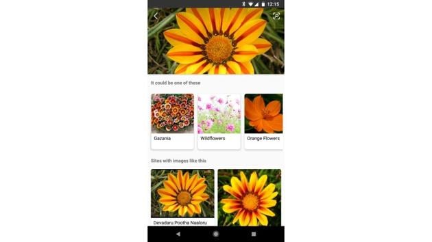 AI-powered visual search feature is now  available on Bing mobile apps